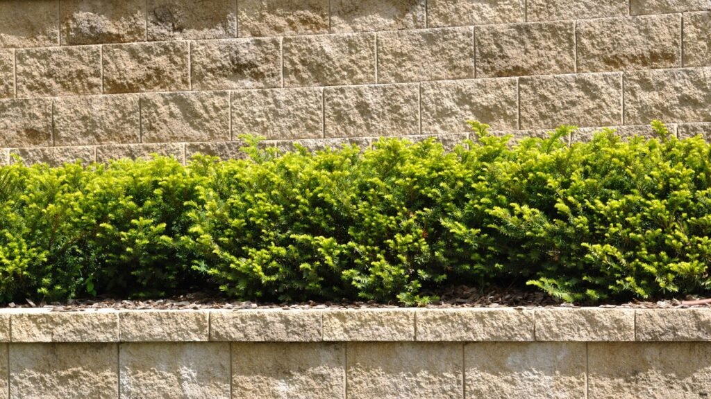 decretive retaining wall project in jeffersonville, indiana